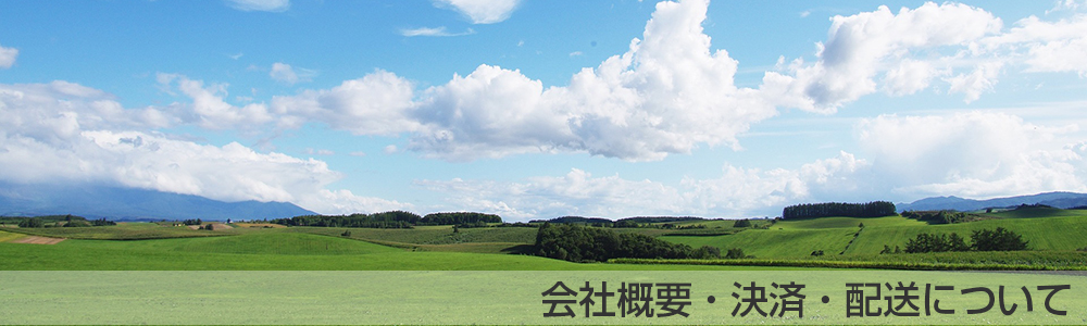 株式会社一葉堂薬品会社概要